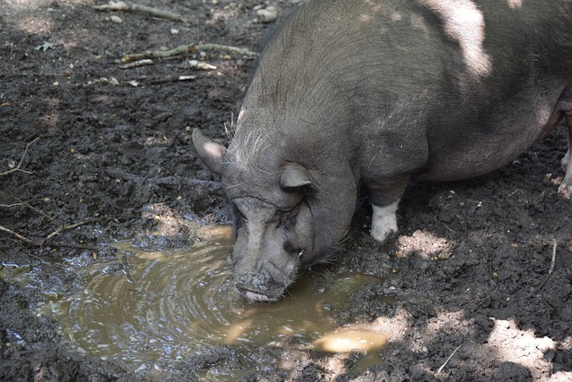 京张高铁的 京张高铁的