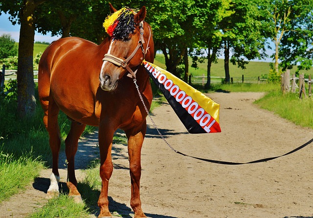 中国风采 中国风采